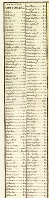 Ämter Colditz, Leisnig, Rochlitz 1749 [Reprint]
